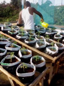 38b61d84 a141 47d9 91af 400f46564bc6