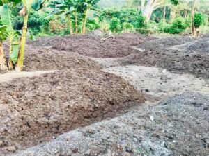 732d7592 699e 45b6 927c 53db050cefc0